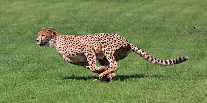 Things you didn't know about Google Search Picture 4