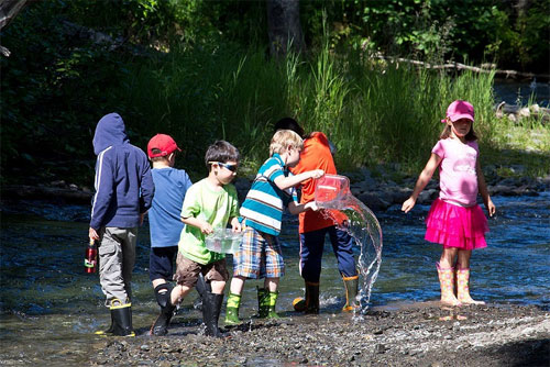 Things you should not share on social networks Picture 1