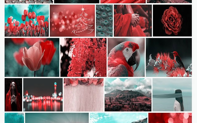 This extension will help you know the feeling of web surfing when color blindness Picture 1