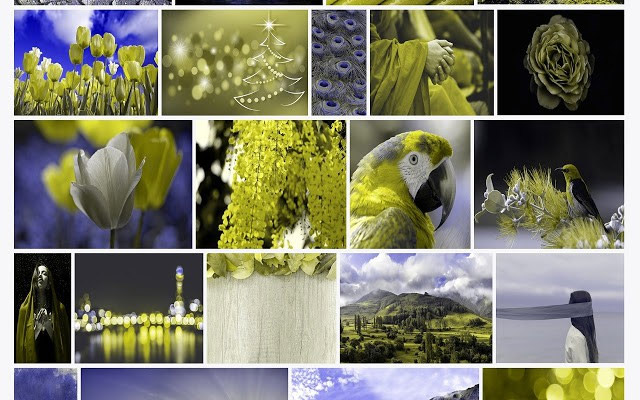 This extension will help you know the feeling of web surfing when color blindness Picture 2