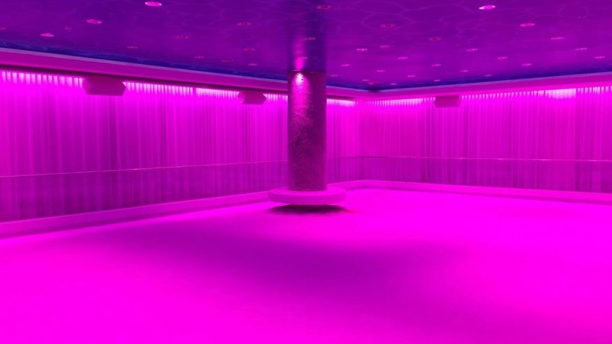 This is only 8 hotels with the world's most impressive on-site ice rink Picture 6