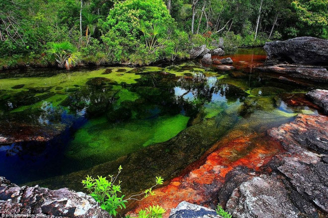 This is the most colorful rainbow river in the world Picture 2
