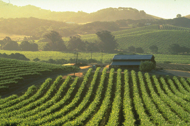 This is the most viewed picture in history and it's unique Picture 12