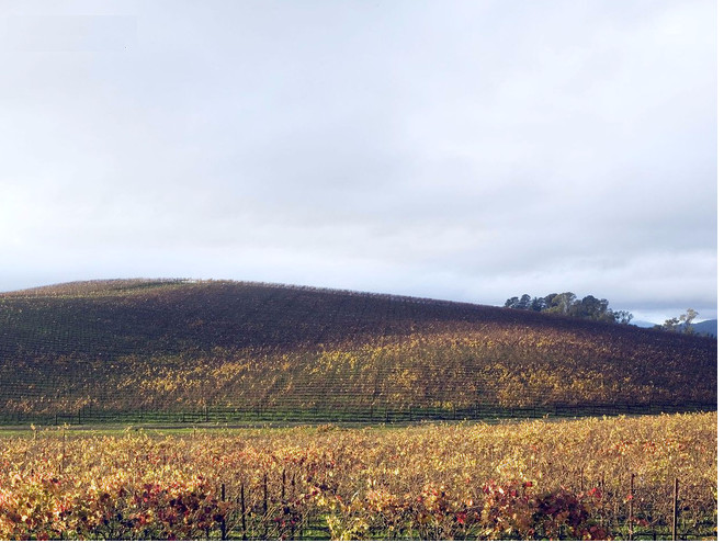 This is the most viewed picture in history and it's unique Picture 3