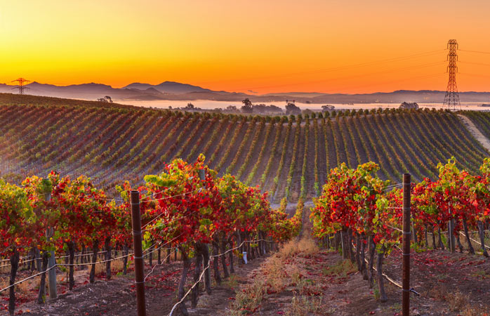 This is the most viewed picture in history and it's unique Picture 5