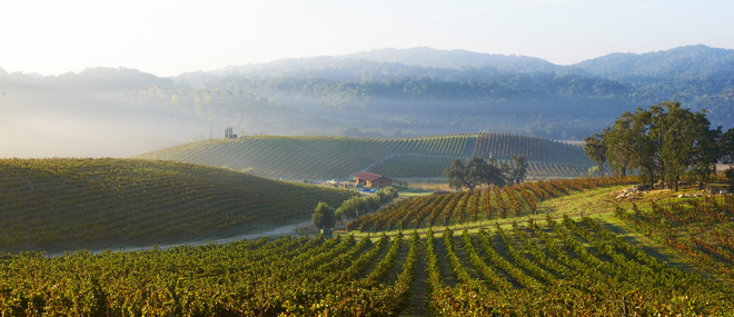 This is the most viewed picture in history and it's unique Picture 8