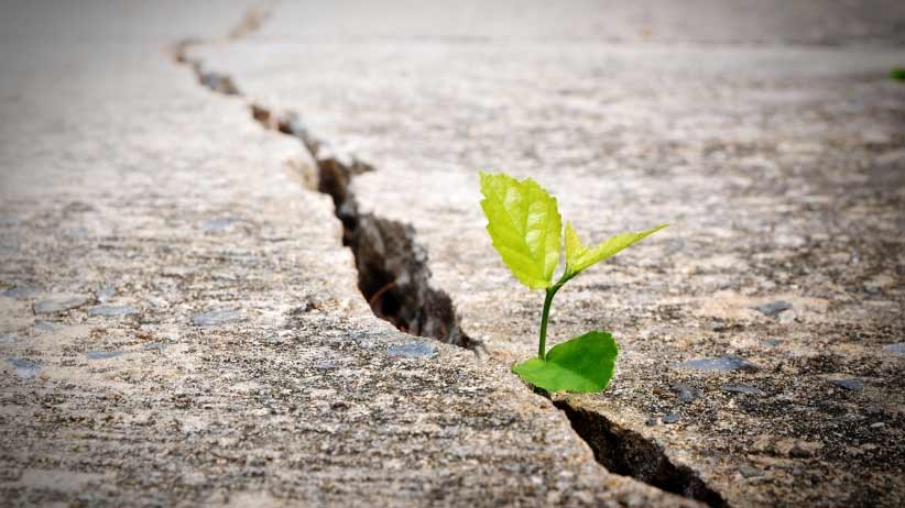 This is the point that makes entrepreneurs different Picture 2