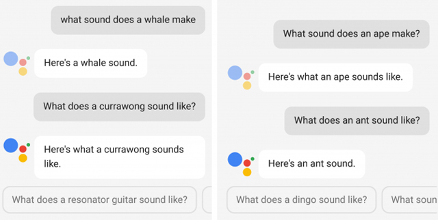 This is what people ask Google Assistant Picture 5