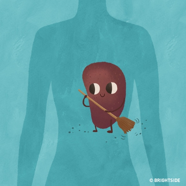 This is why you should sleep on your left side? Picture 2