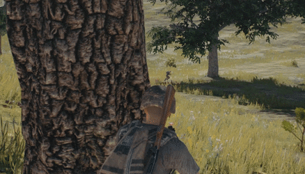 Tips to become the last survivor in PlayerUnknown's Battlegrounds game Picture 5