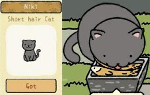 To become an 'zoo' owner in the Adorable Home, these are things that a player must 'keep in mind'. Picture 3