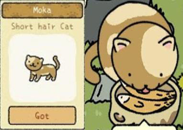 To become an 'zoo' owner in the Adorable Home, these are things that a player must 'keep in mind'. Picture 8