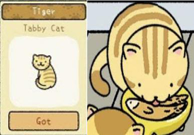 To become an 'zoo' owner in the Adorable Home, these are things that a player must 'keep in mind'. Picture 9