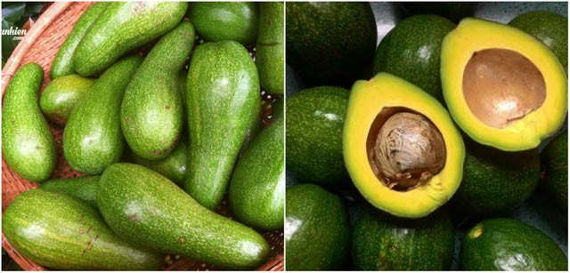 To choose the delicious wax butter, you need to apply the following tips Picture 3