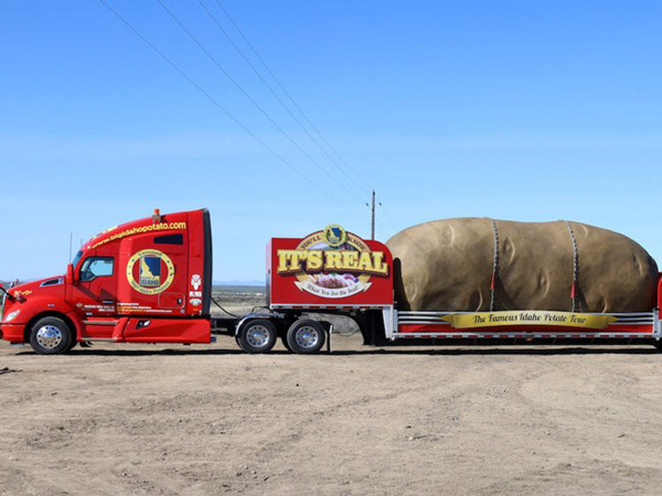 To experience a night of 6 tons of 'potato' in the middle of the field, you have to spend 4.6 million Picture 3