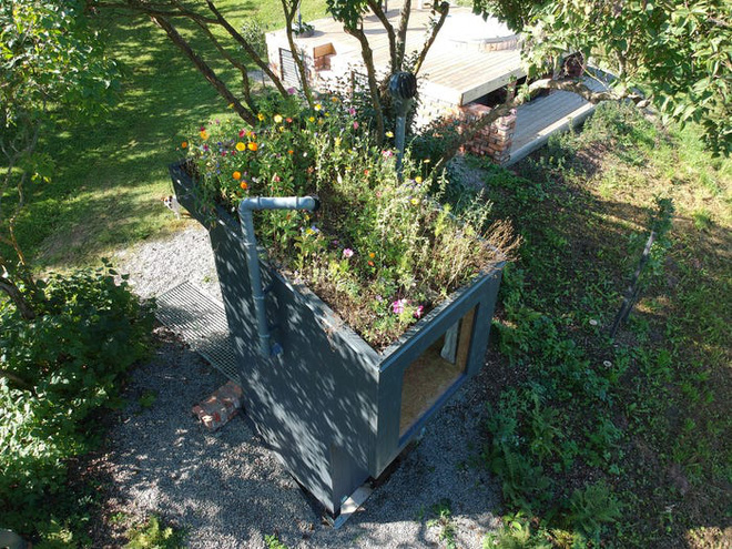 Toilets cost 3,300 USD: Use stool to grow flowers on the roof, then guide the floral scent to the person sitting inside to smell Picture 8