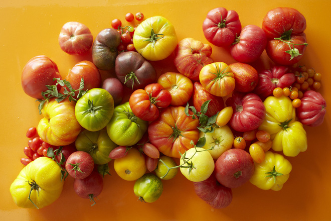 Tomato fruit and 11 surprisingly interesting facts that not everyone knows Picture 10