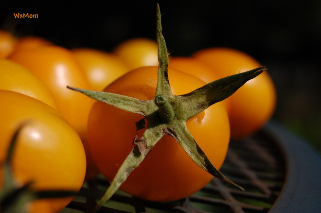 Tomato fruit and 11 surprisingly interesting facts that not everyone knows Picture 7