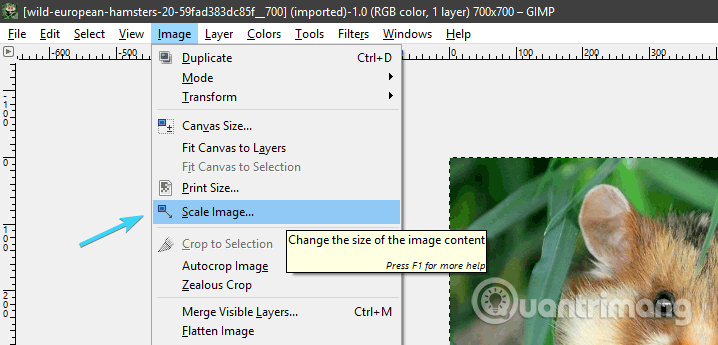 Tools that enlarge images without breaking the image Picture 1