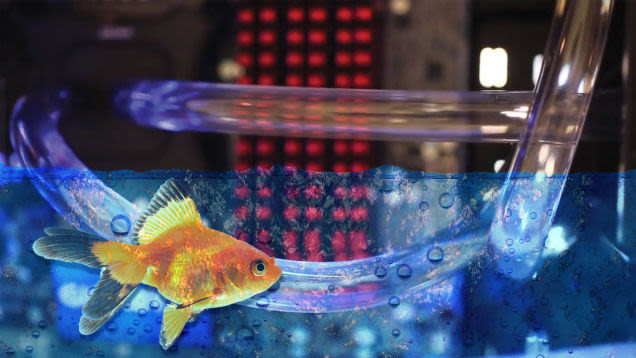 Top 10 'disasters' and how to deal with them Picture 4