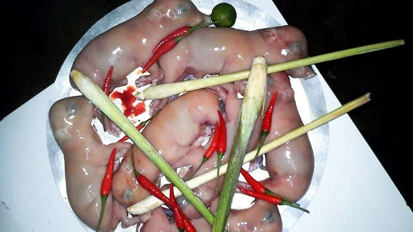 Top 10 dishes that make the world 'shudder', you dare try how many of these dishes Picture 4