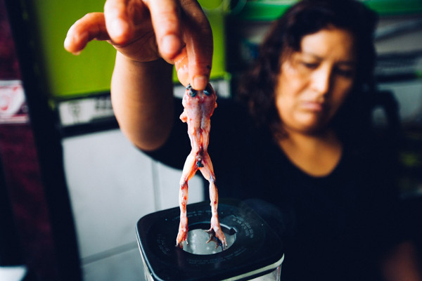 Top 10 dishes that make the world 'shudder', you dare try how many of these dishes Picture 6