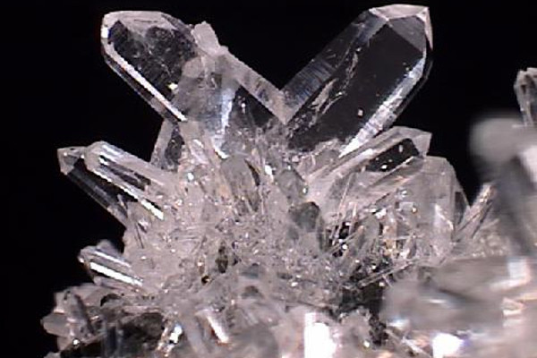 Top 10 fastest growing industries in 2016 Picture 10