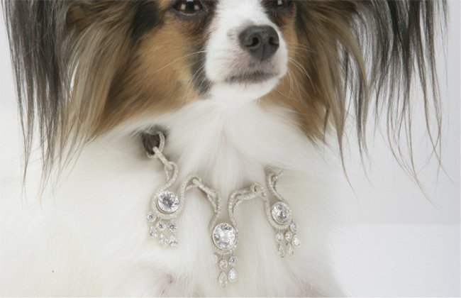 Top 10 most expensive but useless items in the world Picture 6