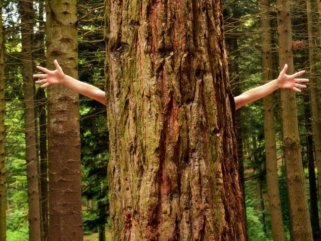 Top 11 skills need to be at age 24 Picture 10