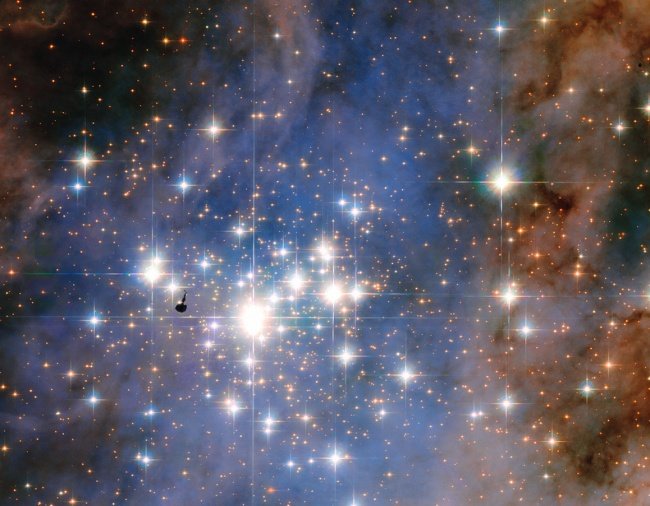 Top 19 incredible facts not everyone knows Picture 3