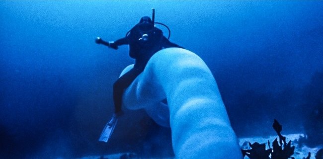 Top 19 incredible facts not everyone knows Picture 9