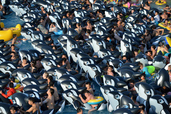 Top 20 most strange and confusing images in the world in 2017 Picture 8