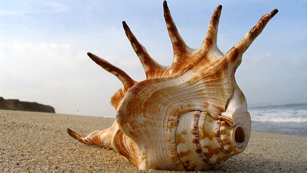 Top 200 beautiful Full HD desktop wallpapers not to be missed Picture 11