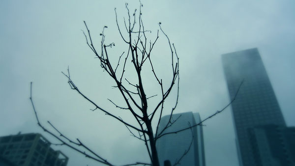 Top 200 beautiful Full HD desktop wallpapers not to be missed Picture 12