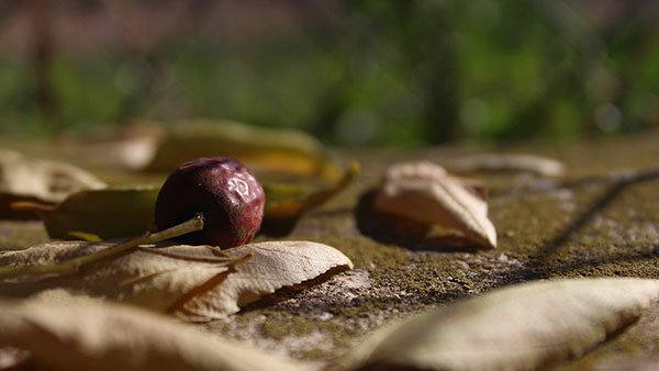 Top 200 beautiful Full HD desktop wallpapers not to be missed Picture 14