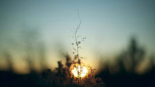 Top 200 beautiful Full HD desktop wallpapers not to be missed Picture 17