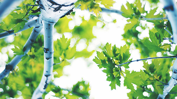 Top 200 beautiful Full HD desktop wallpapers not to be missed Picture 25