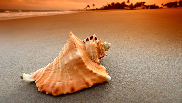 Top 200 beautiful Full HD desktop wallpapers not to be missed Picture 26