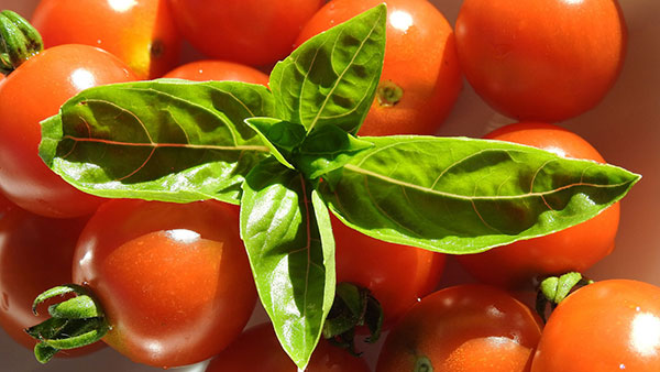 Top 200 beautiful Full HD desktop wallpapers not to be missed Picture 4