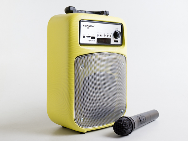 Top 3 models of karaoke speakers are the youngest favorite today Picture 1