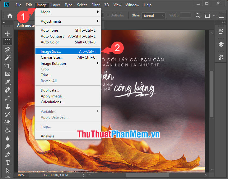 Top 5 best image resizing software and how to use it Picture 17
