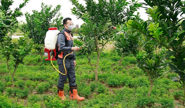 Top 5 electric sprayers, disinfectant sprays for crops Picture 2