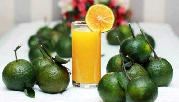 Top 7 foods that help reduce blood cholesterol best Picture 2