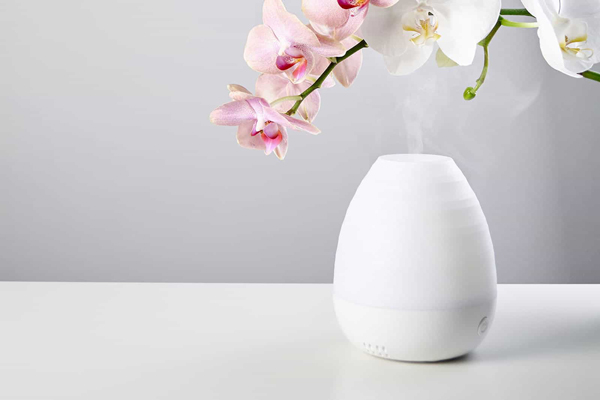 Top 9 essential oils with effective bactericidal disinfectants Picture 11