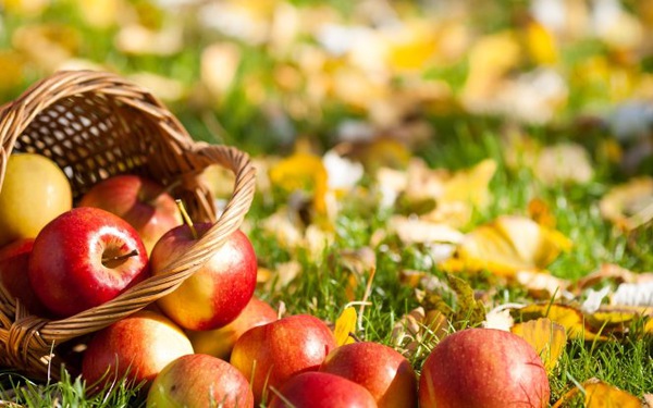 Top 9 food to keep your body warm in winter Picture 1