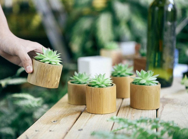 Top 9 meaningful gifts that guys should give to their girlfriends on October 20, but only from 100k Picture 5