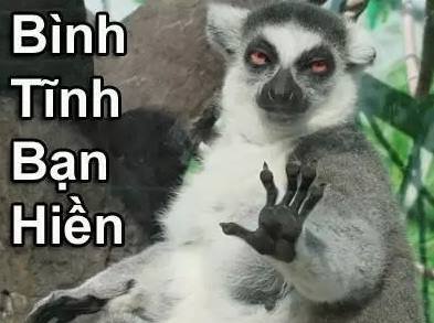 Top best Facebook comment photos Picture 27