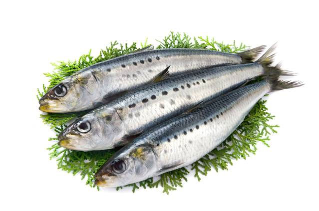 Top brain tonic foods to enhance memory should not be ignored Picture 2