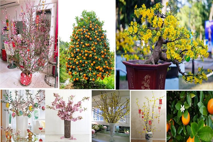 Top meaningful Tet gifts for parents on both sides Picture 2