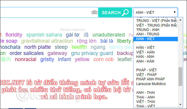 Top website, application of Vietnamese Pinyin dictionary Picture 5